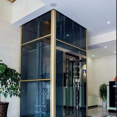 1.5m / s مصاعد ركاب سكنية 400KG كابينة مصعد من الفولاذ المقاوم للصدأ