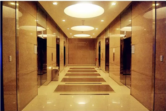 VVVF Control Automatic Door Passenger Elevator مع حجم المقصورة 1000mm * 1000mm