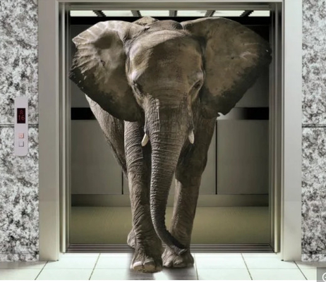 380V 30kw Power Cargo Elevator أوتوماتيكي 380V 30kw لتحميل 2-8 طوابق الثقيلة