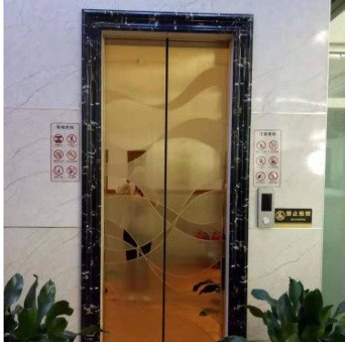 ARD Automatic Rescue Device Elevator 3m / s 13 Passenger Lift